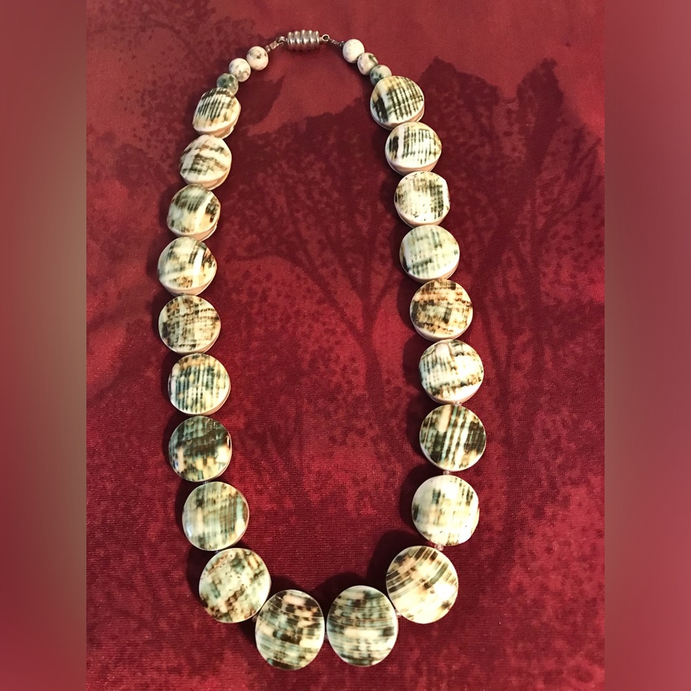 Turbo shell necklace